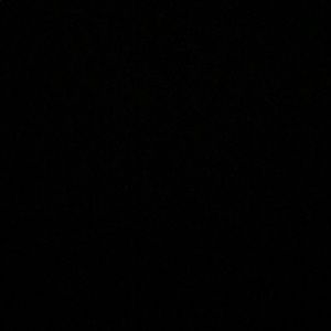 Meet your Posher, Lexi